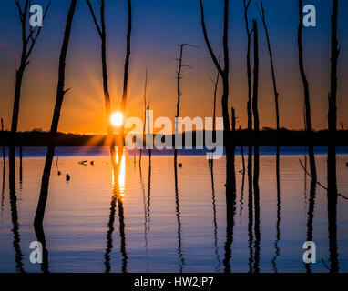 Manchmal ein wolkenloser Sonnenaufgang kann auch schön und einzigartig. Die ruhigen Gewässer und die Reflexionen von den toten Bäumen gefunden in diesem Reservoir geben eine se Stockfoto