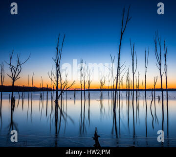 Manchmal ein wolkenloser Sonnenaufgang kann auch schön und einzigartig. Die ruhigen Gewässer und die Reflexionen von den toten Bäumen gefunden in diesem Reservoir geben eine se Stockfoto