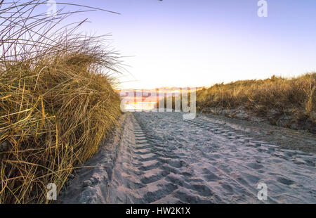 Radspuren auf Sandweg, Lista Norwegen. Stockfoto
