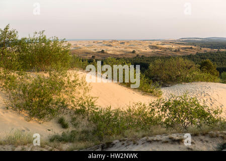 Blick Süden auf Russisch - litauischen Grenze von der Parnidis Düne auf die Kurische Nehrung, Nida, Litauen, Osteuropa Stockfoto