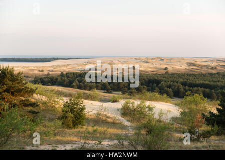 Blick Süden auf Russisch - litauischen Grenze von der Parnidis Düne auf die Kurische Nehrung, Nida, Litauen, Osteuropa Stockfoto