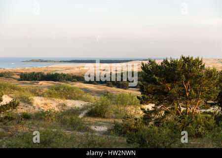 Blick Süden auf Russisch - litauischen Grenze von der Parnidis Düne auf die Kurische Nehrung, Nida, Litauen, Osteuropa Stockfoto