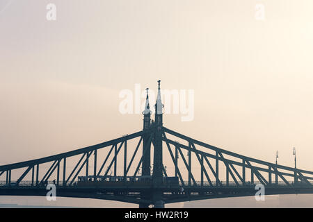 Fernblick über Freiheit oder Freiheit Brücke über die Donau, Budapest, Ungarn, Bild ist getönt Stockfoto
