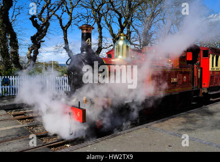 Dampfzug in Castletown Station, Isle Of Man Stockfoto