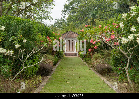 Penang botanische Gärten, Penang, Malaysia Stockfoto