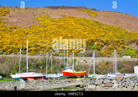 Boote aus dem Wasser, Solva Hafen. Stockfoto