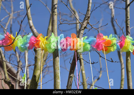 Straße am 12. März 2017 für Karneval und Ostern feiern in Halle, Belgien, dekoriert. Stockfoto