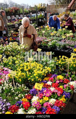 Blumenmarkt, Fakenham, Norfolk, england Stockfoto