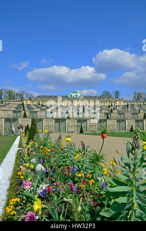 Schloss Sanssouci in Potsdam, Deutschland, Europa Stockfoto