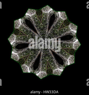 Kaleidoskop aus einem Spinnennetz Stockfoto