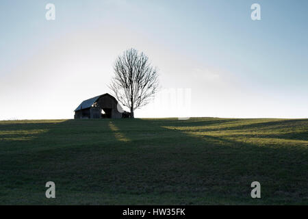 Alte Scheune und Baum isoliert auf Hügel in Silhouette bei Sonnenuntergang Stockfoto