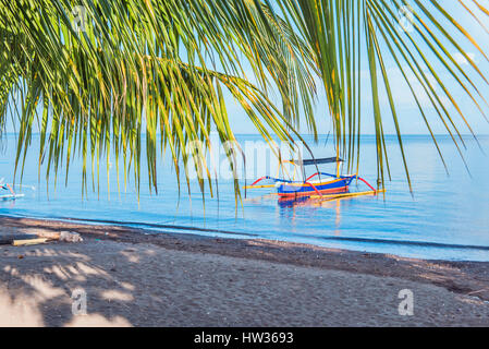 Balis spezielles Boot stehen am Strand, im Hintergrund ein Türkis blaues Meer und im Vordergrund eine schöne romantische Palme Platz für Text. Stockfoto