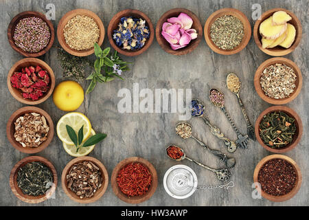 Kräuter Tee Selectionn in Holzschalen und alte Löffel mit Sieb, Tees, die auch in der alternativen Naturheilkunde verwendet. Stockfoto