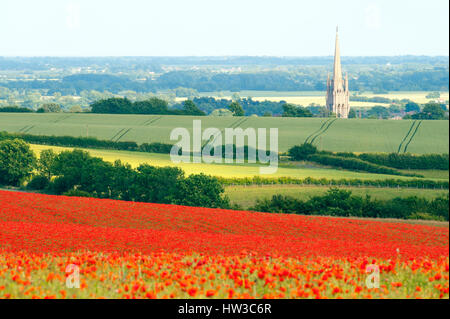 Mohn-Feld Landschaft Lincolnshire Wolds. St James' Church Louth Lincolnshire im Abstand. Stockfoto