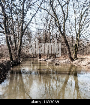 Odra river Mündungsarm mit Bäumen um klaren Himmel und im frühen Frühling Landschaft des Landschaftsschutzgebietes poodri zwischen petrvaldik studenka und in der Tschechischen Republik Stockfoto