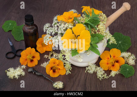 Blumen- und Kräutergarten Naturmedizin mit Mädesüß, Königin Annes Spitze, Kapuzinerkresse, Angelica Samenköpfe und Minze mit ätherischem Öl Flasche. Stockfoto