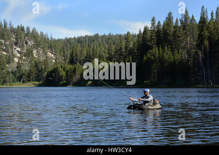 Ein erwachsener Mann fliegen Fische aus von einem float Tube in der Mitte von einem kleinen See, umgeben von Bäumen. Stockfoto