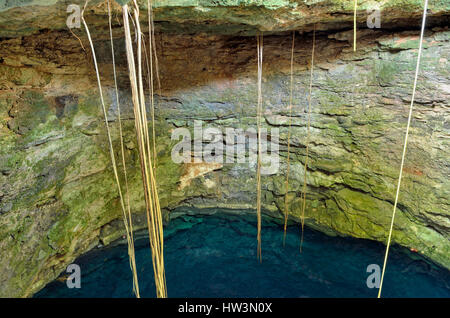 IK Kil oder blaue Cenote, unterirdischen Wasserlaufs Uitzan, der Staat Yucatan, Mexiko Stockfoto