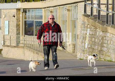 Lyme Regis, Dorset, UK.  17. März 2017.  Großbritannien Wetter.  Eine Dog-Walker, die glorreiche Morgen Frühlingssonne im Badeort von Lyme Regis an der Küste von Dorset Jurassic genießen.  Foto von Graham Hunt/Alamy Live-Nachrichten Stockfoto