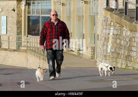 Lyme Regis, Dorset, UK.  17. März 2017.  Großbritannien Wetter.  Eine Dog-Walker, die glorreiche Morgen Frühlingssonne im Badeort von Lyme Regis an der Küste von Dorset Jurassic genießen.  Foto von Graham Hunt/Alamy Live-Nachrichten Stockfoto