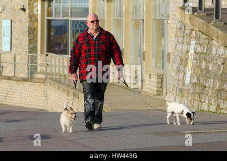 Lyme Regis, Dorset, UK.  17. März 2017.  Großbritannien Wetter.  Eine Dog-Walker, die glorreiche Morgen Frühlingssonne im Badeort von Lyme Regis an der Küste von Dorset Jurassic genießen.  Foto von Graham Hunt/Alamy Live-Nachrichten Stockfoto