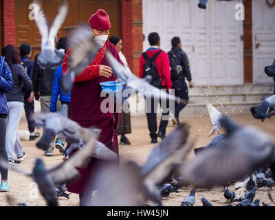 Kathmandu, zentrale Entwicklung Region, Nepal. 17. März 2017. Ein buddhistischer Mönch füttert Tauben in einem Plaza in Boudhanath Stupa in Kathmandu. Es ist die heiligste Stätte des Nepali Buddhismus. Es ist auch das Zentrum der tibetischen Exil-Gemeinde in Kathmandu. Die Stupa wurde im Jahr 2015 Erdbeben stark beschädigt, aber war eines der ersten Gebäude renoviert. Bildnachweis: Jack Kurtz/ZUMA Draht/Alamy Live-Nachrichten Stockfoto