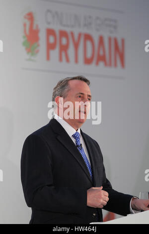 Cardiff, UK, 17. März 2017. Liam Fox mp, Staatssekretär für internationalen Handel bei der konservativen Feder Forum statt, an der sse SWALEC Stadium spricht Stockfoto