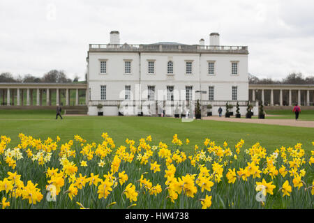 Greenwich, London, UK. 17. März 2017. Narzissen vor der historischen Queen es House in Greenwich. Bildnachweis: Rob Powell/Alamy Live-Nachrichten Stockfoto