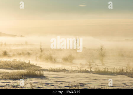 Nebel in Winterlandschaft Stockfoto