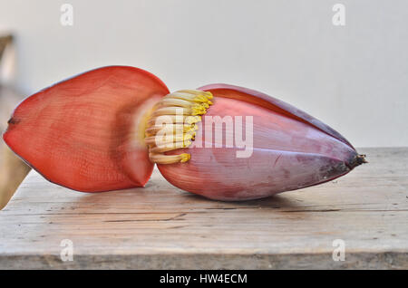 Banane Blume als köstliches Gemüse gegessen Stockfoto