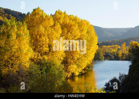 Natur Landschaft, die Farben des Herbstes. Ebro, Burgos Castilla Leon. Spanien Europa Stockfoto