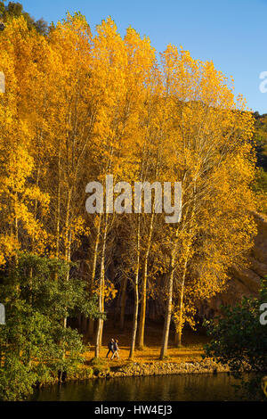 Natur Landschaft, die Farben des Herbstes. Ebro, Burgos Castilla Leon. Spanien Europa Stockfoto