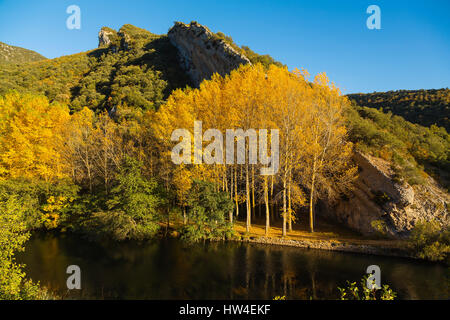 Natur Landschaft, die Farben des Herbstes. Ebro, Burgos Castilla Leon. Spanien Europa Stockfoto