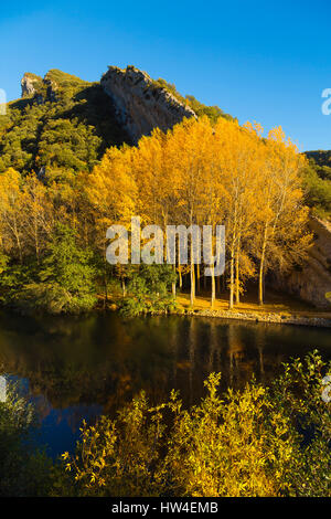 Natur Landschaft, die Farben des Herbstes. Ebro, Burgos Castilla Leon. Spanien Europa Stockfoto