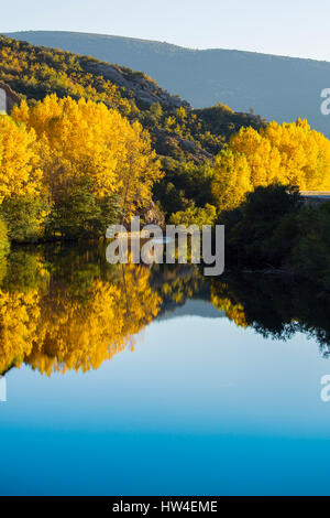 Natur Landschaft, die Farben des Herbstes. Ebro, Burgos Castilla Leon. Spanien Europa Stockfoto