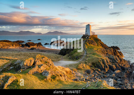 Sonnenuntergang am Ynys Llanddwyn Insel auf der Küste von Anglesey im Norden von Wales die Berge von Snowdonia in der Ferne. Stockfoto