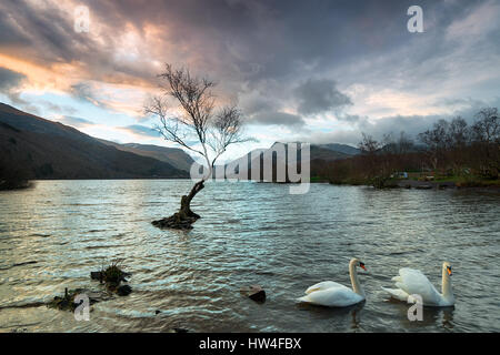 Stürmischer Sonnenaufgang über Llyn Padarn See in Snowdonia-Nationalpark in Wales Stockfoto