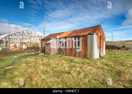 Eine rostige alte gewellte Metall Hütte Stockfoto