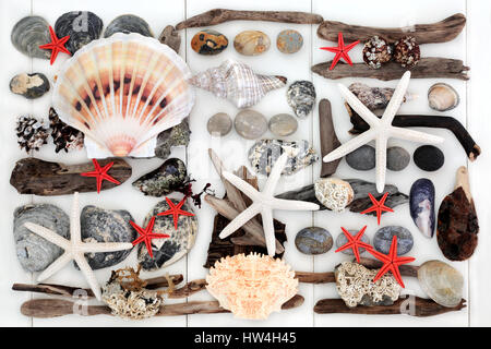 Zusammenfassung Hintergrund der natürlichen Treibholz, Muscheln und Steinen vom Strand auf hölzernen weißen Hintergrund. Stockfoto