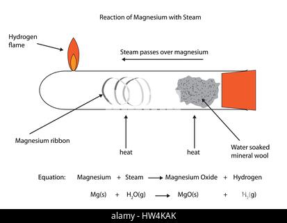 Beschrifteten Diagramm von Magnesium mit Wasserdampf reagieren. Vektordiagramm für den schulischen Einsatz. Stock Vektor