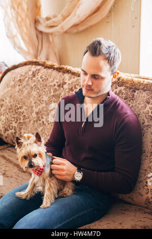 der kleine Hund auf dem Schoß der Männer Stockfoto