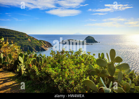 Insel Elba, indische Feigen Opuntia Kaktus, Innamorata Strand und Gemini Inseln anzeigen Capoliveri Toskana, Italien, Europa. Stockfoto