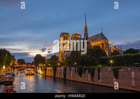 Kathedrale Notre-Dame in der Nacht. Paris, Frankreich. Stockfoto