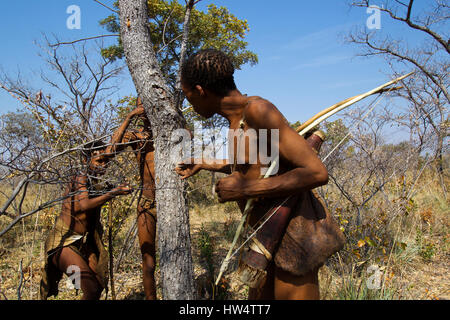 Buschmänner Menschen in den afrikanischen Busch bei Grashoek, Norden Namibias Stockfoto