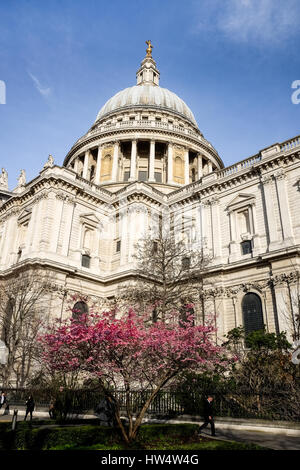 Vom Winter zum Frühling in St. Pauls Cathedral, London. Stockfoto