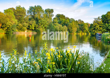 Themse nahe Iffley Lock. Oxford, Oxfordshire, England, UK Stockfoto