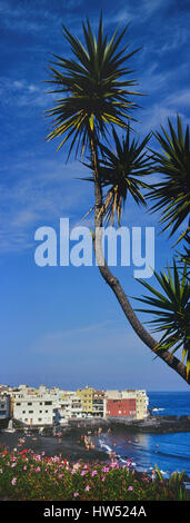 Playa Jardin Strand, Puerto De La Cruz. Teneriffa. Kanarischen Inseln. Spanien Stockfoto