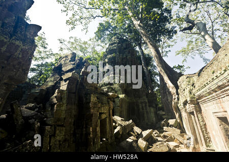 Ta Prohm ist eines der meistbesuchten komplexe Angkors in Kambodscha Angkor-Region. Der Tempel ist auch bekannt als der "Tomb Raider Tempel" wo Mo Stockfoto