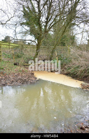 Staunässe verursacht durch Äste blockieren Fluss des Stroms im Norden Oxfordshire Dorf Hook Norton Stockfoto