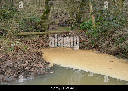 Staunässe verursacht durch Äste blockieren Fluss des Stroms im Norden Oxfordshire Dorf Hook Norton Stockfoto